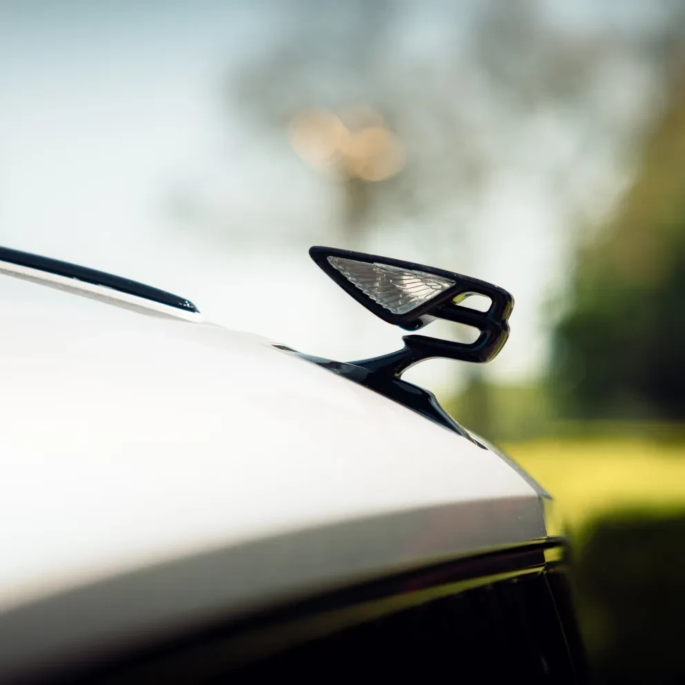 Bentley Flying Spur Brexit Home page