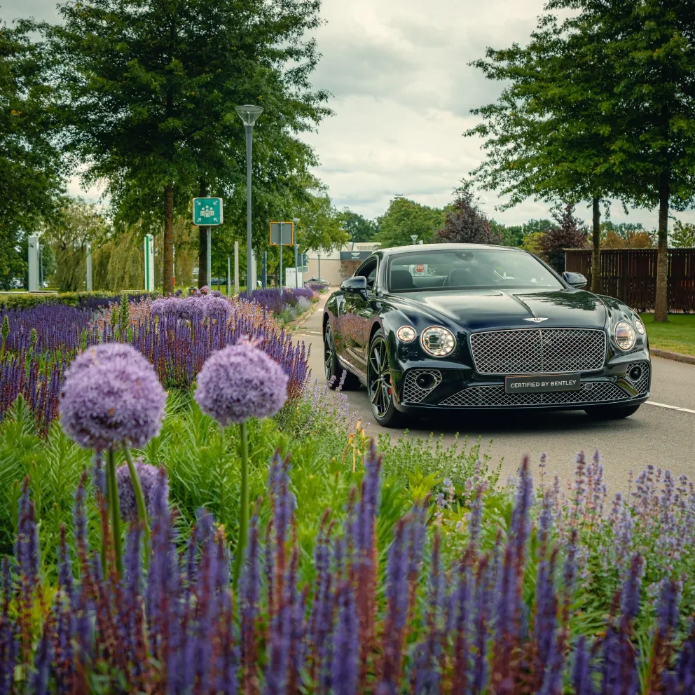Continental GT