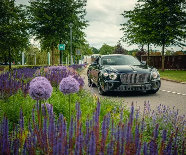 Continental GT