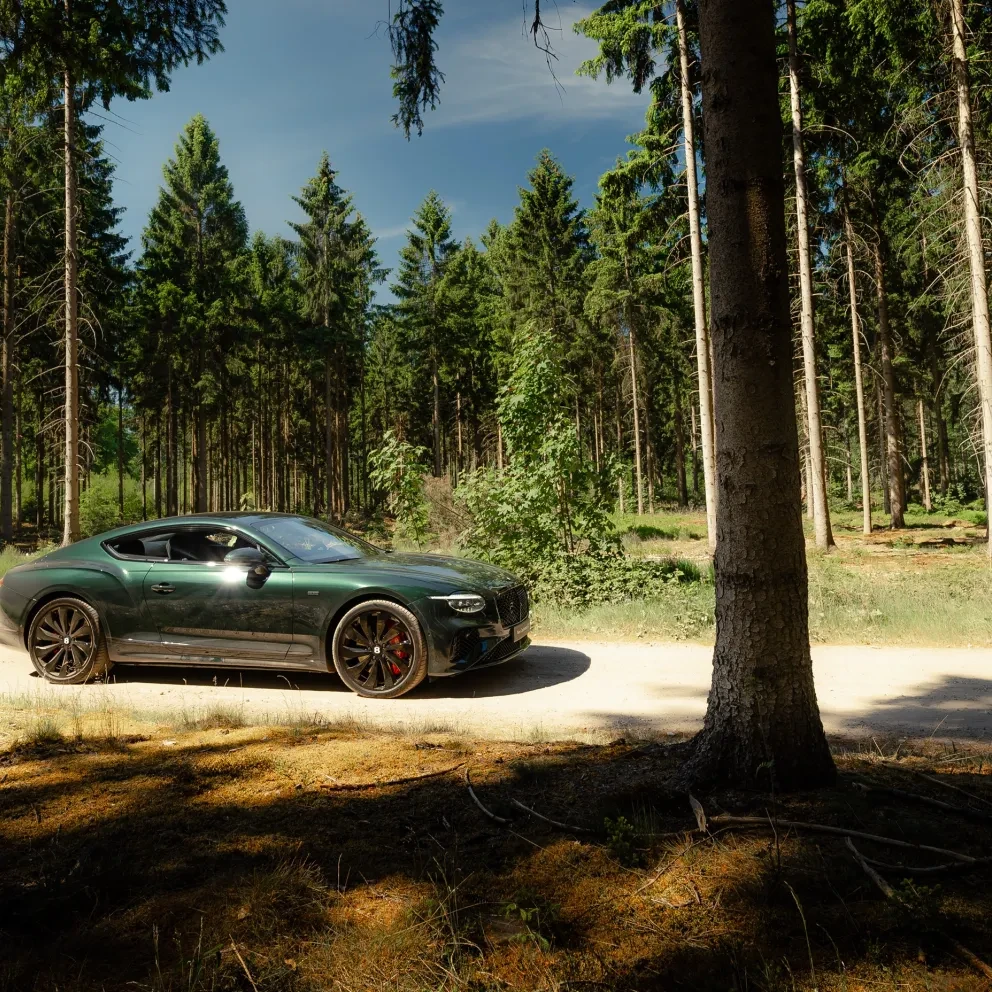 Bentley Continental GT Groen