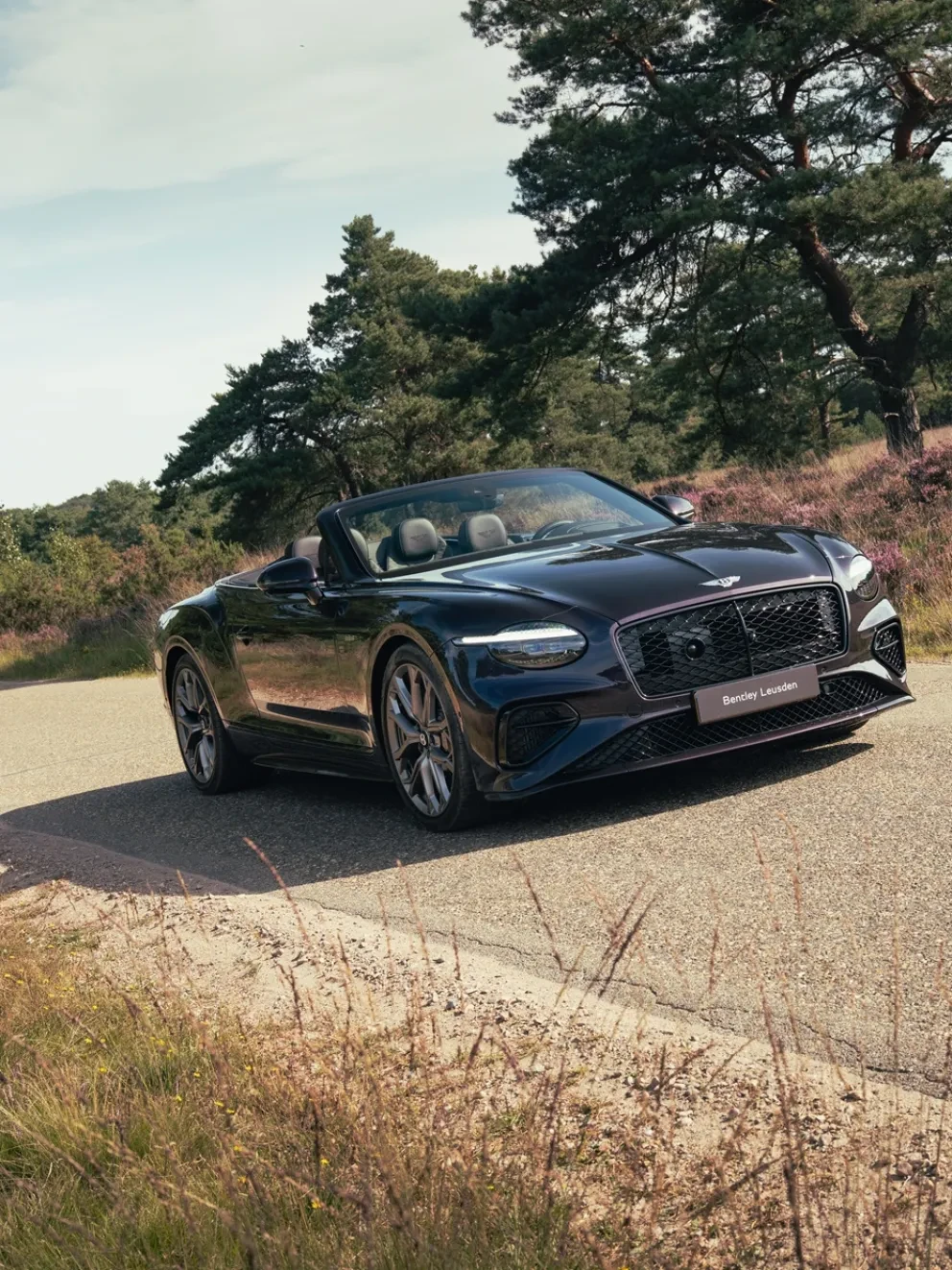 Bentley Leusden - Continental GTC Header