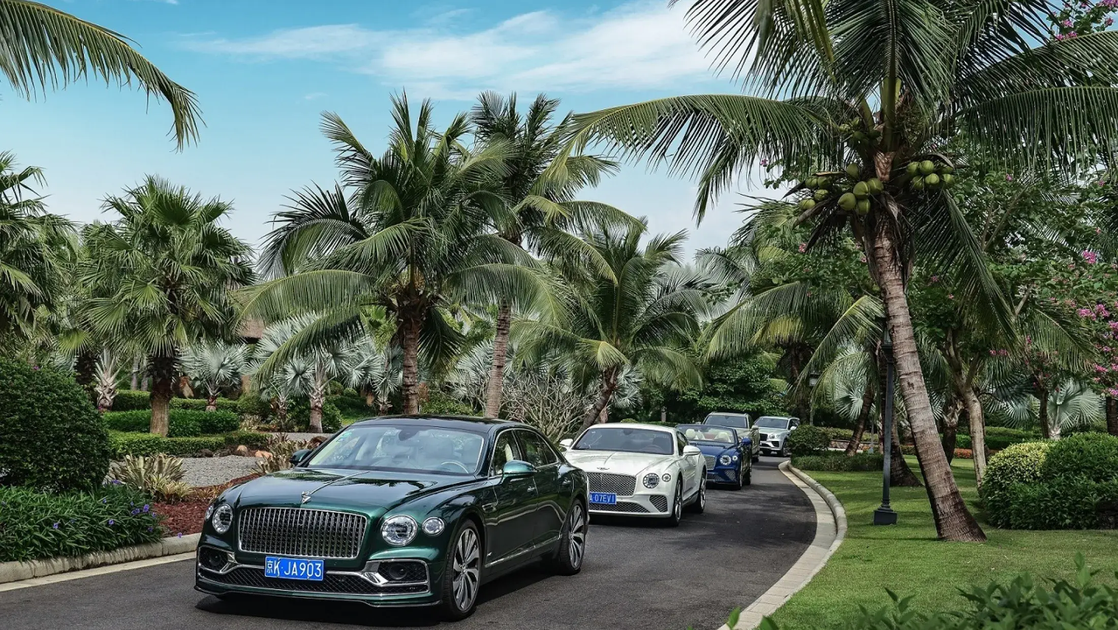 Bentley Jaaroverzicht